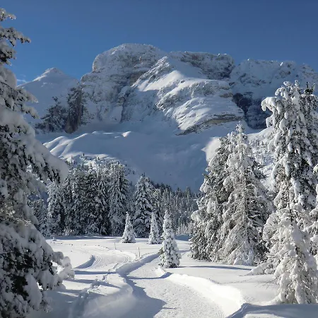 Edelweiss Otel Braies (Prags)